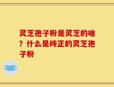 灵芝孢子粉是灵芝的啥？什么是纯正的灵芝孢子粉