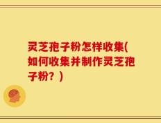 灵芝孢子粉怎样收集(如何收集并制作灵芝孢子粉？)
