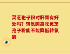 灵芝孢子粉对肝肾有好处吗？转氨酶高吃灵芝孢子粉能不能降低转氨酶