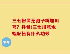 三七粉灵芝孢子粉加川芎？丹参;三七川芎水蛭配伍有什么功效