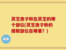 灵芝孢子粉在灵芝的哪个部位(灵芝孢子粉的提取部位在哪里？)