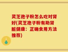 灵芝孢子粉怎么吃对肾好(灵芝孢子粉有助肾脏健康：正确食用方法推荐)