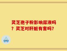 灵芝孢子粉影响尿液吗？灵芝对肝脏有害吗？