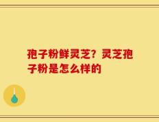 孢子粉鲜灵芝？灵芝孢子粉是怎么样的