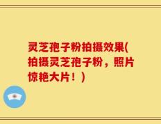 灵芝孢子粉拍摄效果(拍摄灵芝孢子粉，照片惊艳大片！)