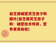 益芝健破壁灵芝孢子粉图片(益芝健灵芝孢子粉：破壁技术所得，营养更易吸收)