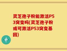 灵芝孢子粉能激活P53突变吗(灵芝孢子粉或可激活P53突变基因)