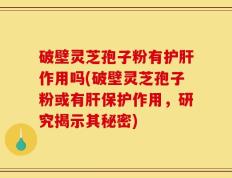 破壁灵芝孢子粉有护肝作用吗(破壁灵芝孢子粉或有肝保护作用，研究揭示其秘密)