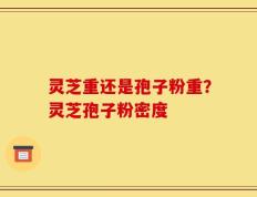 灵芝重还是孢子粉重？灵芝孢子粉密度