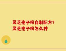 灵芝孢子粉自制配方？灵芝孢子粉怎么种
