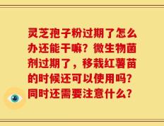 灵芝孢子粉过期了怎么办还能干嘛？微生物菌剂过期了，移栽红薯苗的时候还可以使用吗？同时还需要注意什么？