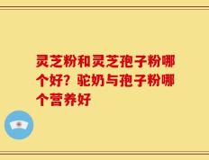 灵芝粉和灵芝孢子粉哪个好？驼奶与孢子粉哪个营养好