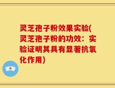 灵芝孢子粉效果实验(灵芝孢子粉的功效：实验证明其具有显著抗氧化作用)