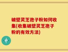 破壁灵芝孢子粉如何收集(收集破壁灵芝孢子粉的有效方法)