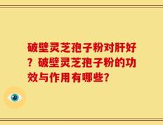 破壁灵芝孢子粉对肝好？破壁灵芝孢子粉的功效与作用有哪些？