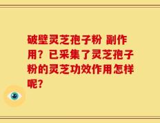 破壁灵芝孢子粉 副作用？已采集了灵芝孢子粉的灵芝功效作用怎样呢？