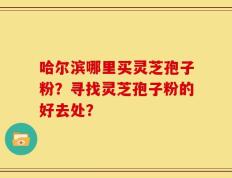 哈尔滨哪里买灵芝孢子粉？寻找灵芝孢子粉的好去处？