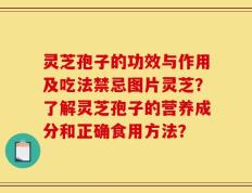 灵芝孢子的功效与作用及吃法禁忌图片灵芝？了解灵芝孢子的营养成分和正确食用方法？
