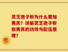 灵芝孢子粉为什么要加黄芪？详解灵芝孢子粉和黄芪的功效与配伍原理？
