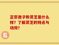 正宗孢子粉灵芝是什么样？了解灵芝的特点与功效？