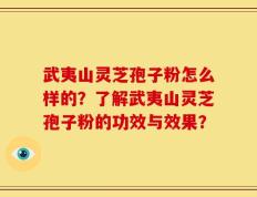 武夷山灵芝孢子粉怎么样的？了解武夷山灵芝孢子粉的功效与效果？