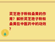 灵芝孢子粉和桑黄的作用？解析灵芝孢子粉和桑黄在中医药中的功效？