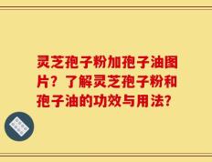 灵芝孢子粉加孢子油图片？了解灵芝孢子粉和孢子油的功效与用法？