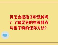 灵芝会把孢子粉洗掉吗？了解灵芝的生长特点与孢子粉的保存方法？