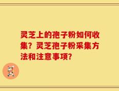 灵芝上的孢子粉如何收集？灵芝孢子粉采集方法和注意事项？