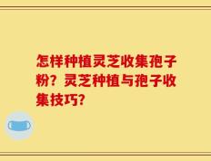 怎样种植灵芝收集孢子粉？灵芝种植与孢子收集技巧？
