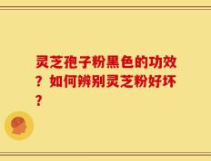 灵芝孢子粉黑色的功效？如何辨别灵芝粉好坏？