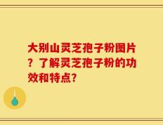 大别山灵芝孢子粉图片？了解灵芝孢子粉的功效和特点？