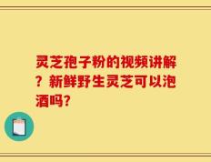 灵芝孢子粉的视频讲解？新鲜野生灵芝可以泡酒吗？