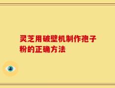 灵芝用破壁机制作孢子粉的正确方法