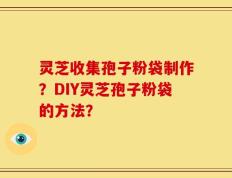 灵芝收集孢子粉袋制作？DIY灵芝孢子粉袋的方法？