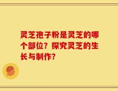 灵芝孢子粉是灵芝的哪个部位？探究灵芝的生长与制作？