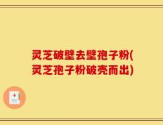 灵芝破壁去壁孢子粉(灵芝孢子粉破壳而出)