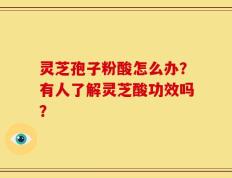 灵芝孢子粉酸怎么办？有人了解灵芝酸功效吗？