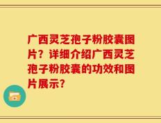 广西灵芝孢子粉胶囊图片？详细介绍广西灵芝孢子粉胶囊的功效和图片展示？