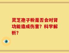 灵芝孢子粉是否会对肾功能造成伤害？科学解析？
