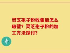 灵芝孢子粉收集后怎么破壁？灵芝孢子粉的加工方法探讨？