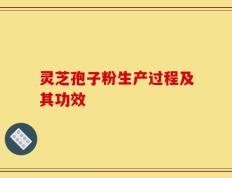 灵芝孢子粉生产过程及其功效