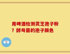 用啤酒检测灵芝孢子粉？酵母菌的孢子颜色