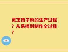 灵芝孢子粉的生产过程？从采摘到制作全过程？