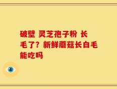 破壁 灵芝孢子粉 长毛了？新鲜蘑菇长白毛能吃吗