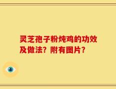 灵芝孢子粉炖鸡的功效及做法？附有图片？