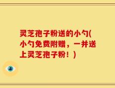 灵芝孢子粉送的小勺(小勺免费附赠，一并送上灵芝孢子粉！)