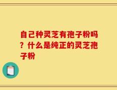 自己种灵芝有孢子粉吗？什么是纯正的灵芝孢子粉