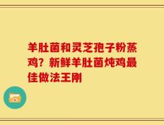 羊肚菌和灵芝孢子粉蒸鸡？新鲜羊肚菌炖鸡最佳做法王刚