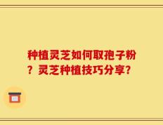 种植灵芝如何取孢子粉？灵芝种植技巧分享？